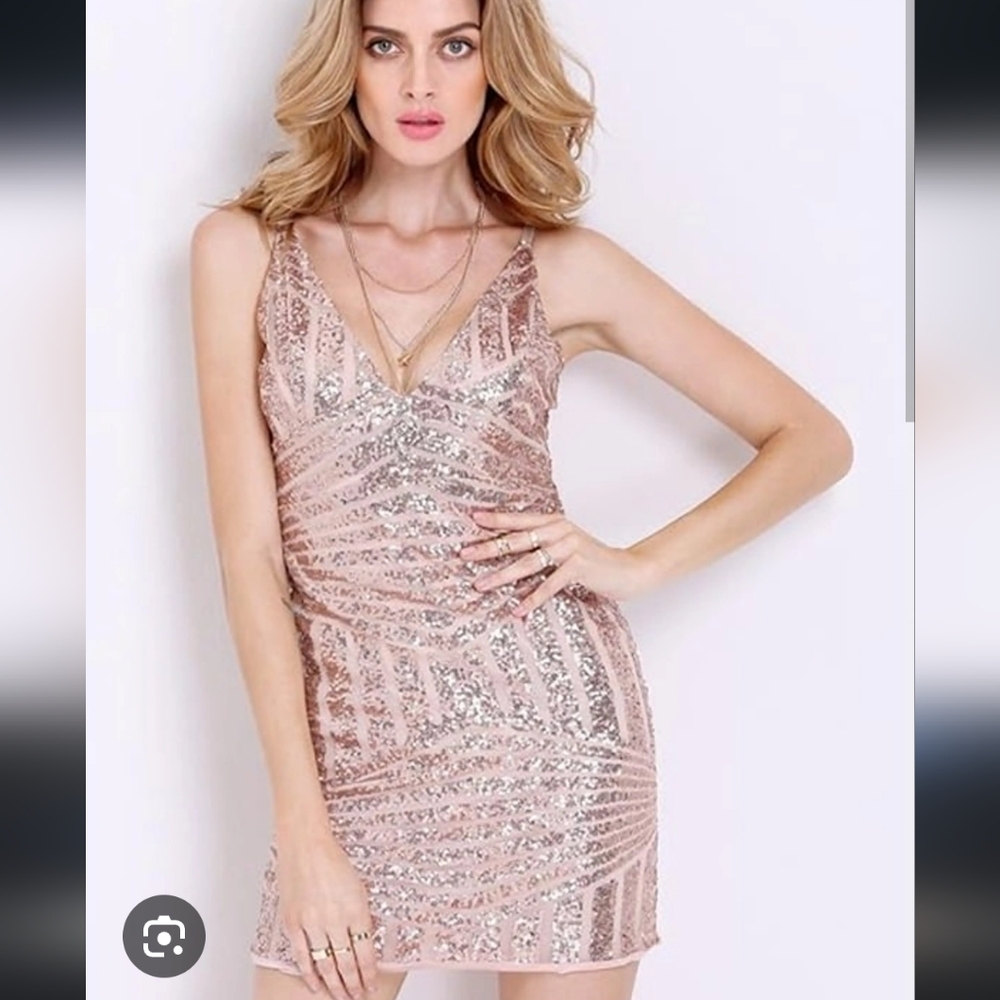 Pink/Champagne Sequin Embellished Mini Dress